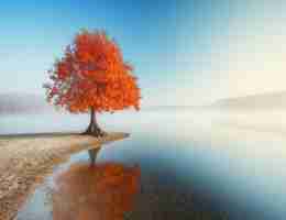 最‌新﻿Prompt工﻿程‌软​件‌